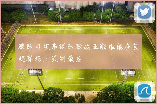 狼队与埃弗顿队激战正酣谁能在英超赛场上笑到最后
