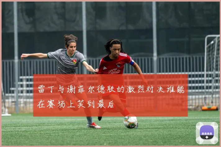 雷丁与谢菲尔德联的激烈对决谁能在赛场上笑到最后