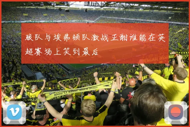 狼队与埃弗顿队激战正酣谁能在英超赛场上笑到最后